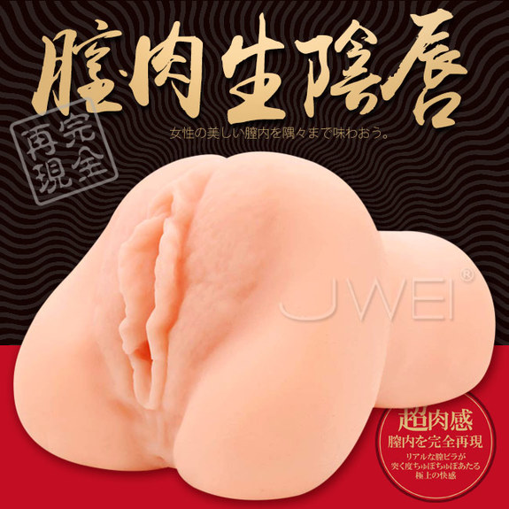 日本原裝進口A-ONE．膣肉生陰唇 完全再現女性超肉厚真實通道自慰器